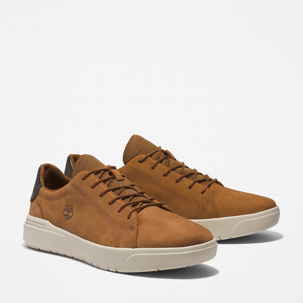 Timberland Seneca Bay Spor Ayakkabı Erkek Açık Kahverengi | TR-0825U