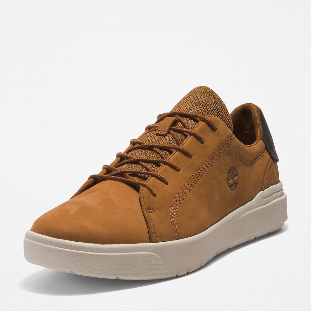 Timberland Seneca Bay Spor Ayakkabı Erkek Açık Kahverengi | TR-0825U