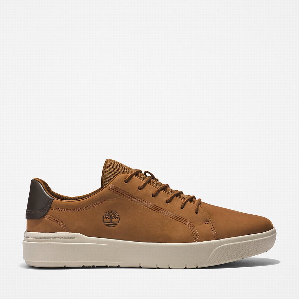 Timberland Seneca Bay Spor Ayakkabı Erkek Açık Kahverengi | TR-0825U