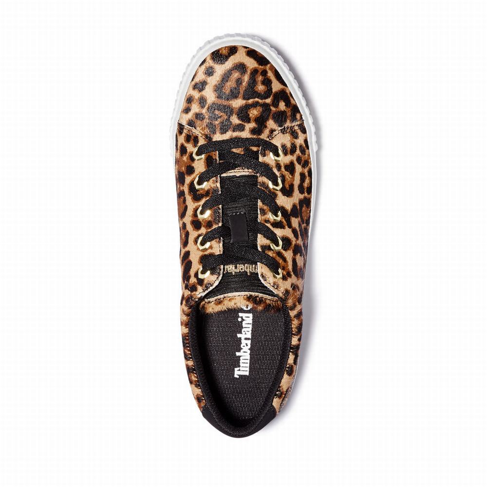Timberland Skyla Bay Spor Ayakkabı Kadın Kahverengi | TR-6298X