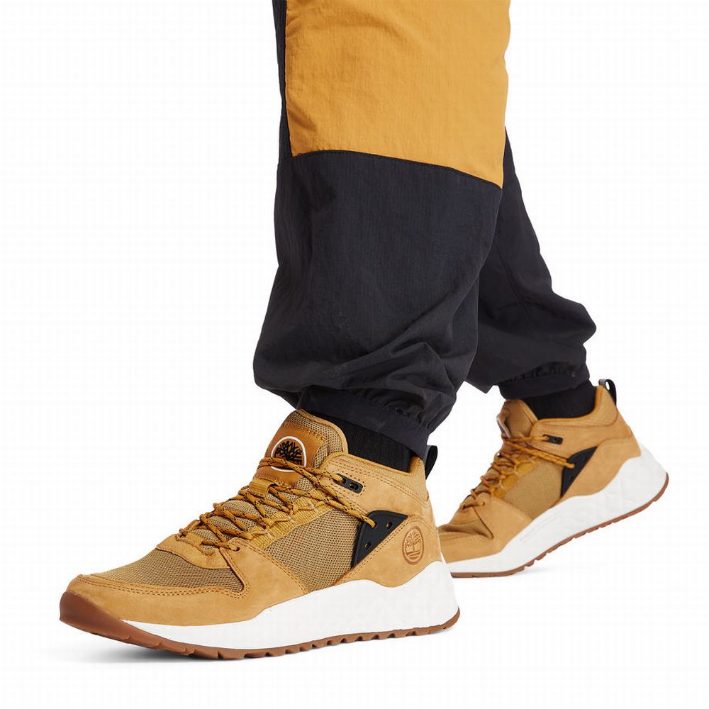 Timberland Solar Wave GreenStride™ Spor Ayakkabı Erkek Sarı | TR-7591Q