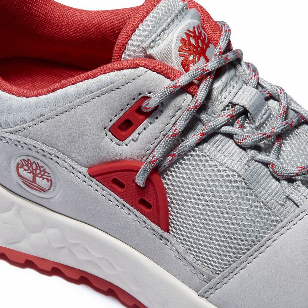Timberland Solar Wave Hiker Yürüyüş Ayakkabısı Kadın Açık Gri | TR-1736W