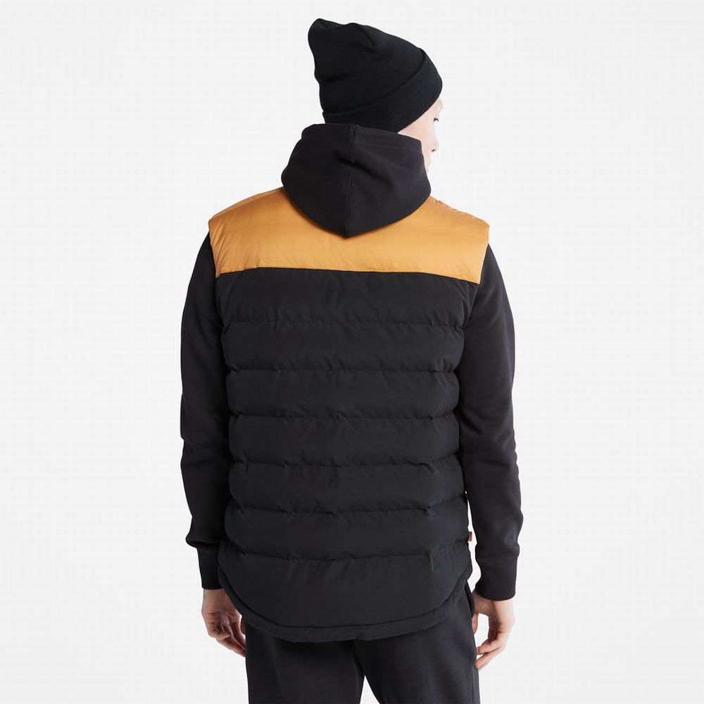 Timberland South Twin Yelek Erkek Sarı | TR-1856G