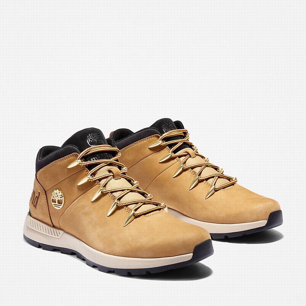 Timberland Sprint Trekker Chukka Bot Erkek Sarı | TR-0352A
