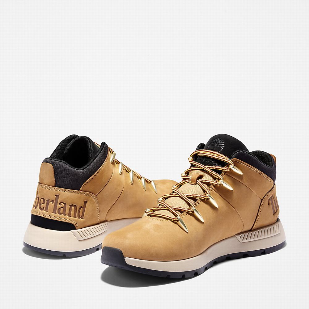 Timberland Sprint Trekker Chukka Bot Erkek Sarı | TR-0352A