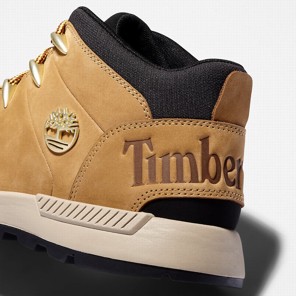 Timberland Sprint Trekker Chukka Bot Erkek Sarı | TR-0352A