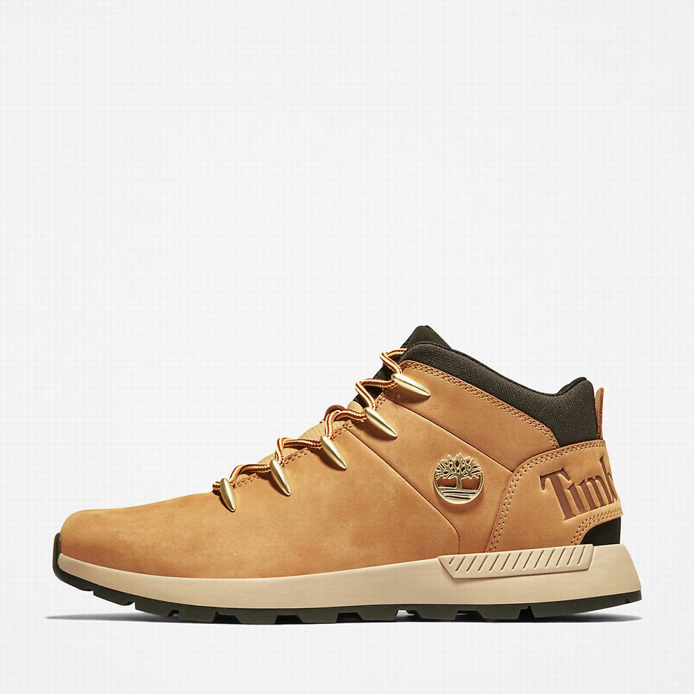 Timberland Sprint Trekker Chukka Bot Erkek Sarı | TR-0352A