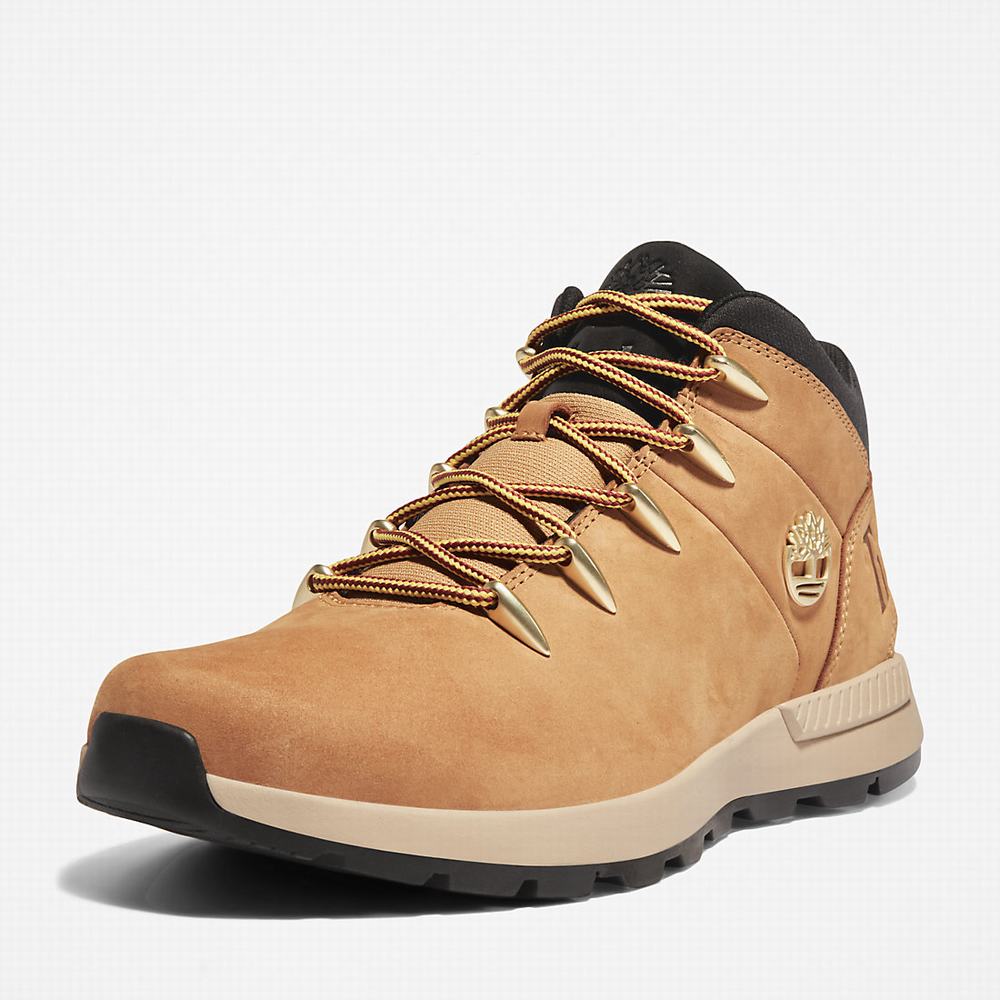 Timberland Sprint Trekker Chukka Bot Erkek Sarı | TR-0352A