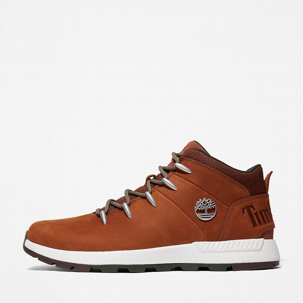 Timberland Sprint Trekker Chukka Bot Erkek Kahverengi | TR-5896Y