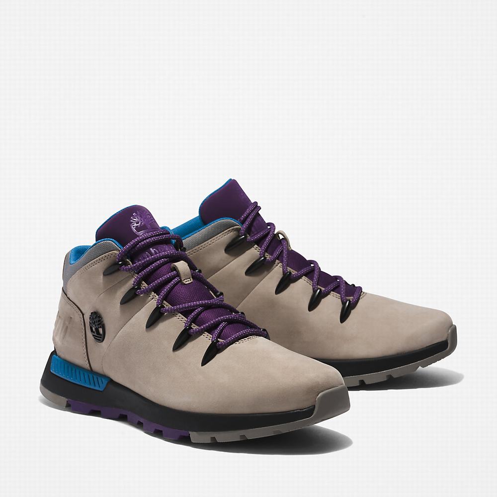 Timberland Sprint Trekker Mid Yürüyüş Botu Erkek Bej Rengi | TR-1294G