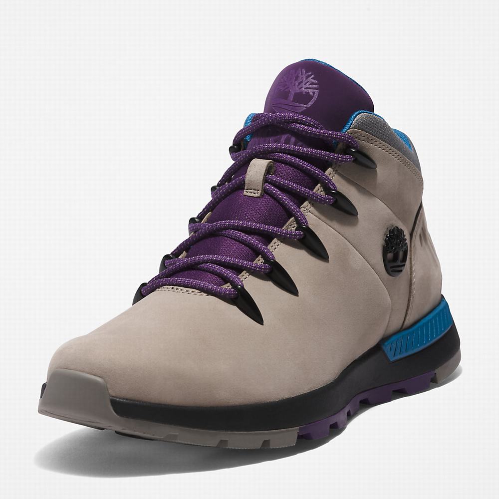Timberland Sprint Trekker Mid Yürüyüş Botu Erkek Bej Rengi | TR-1294G