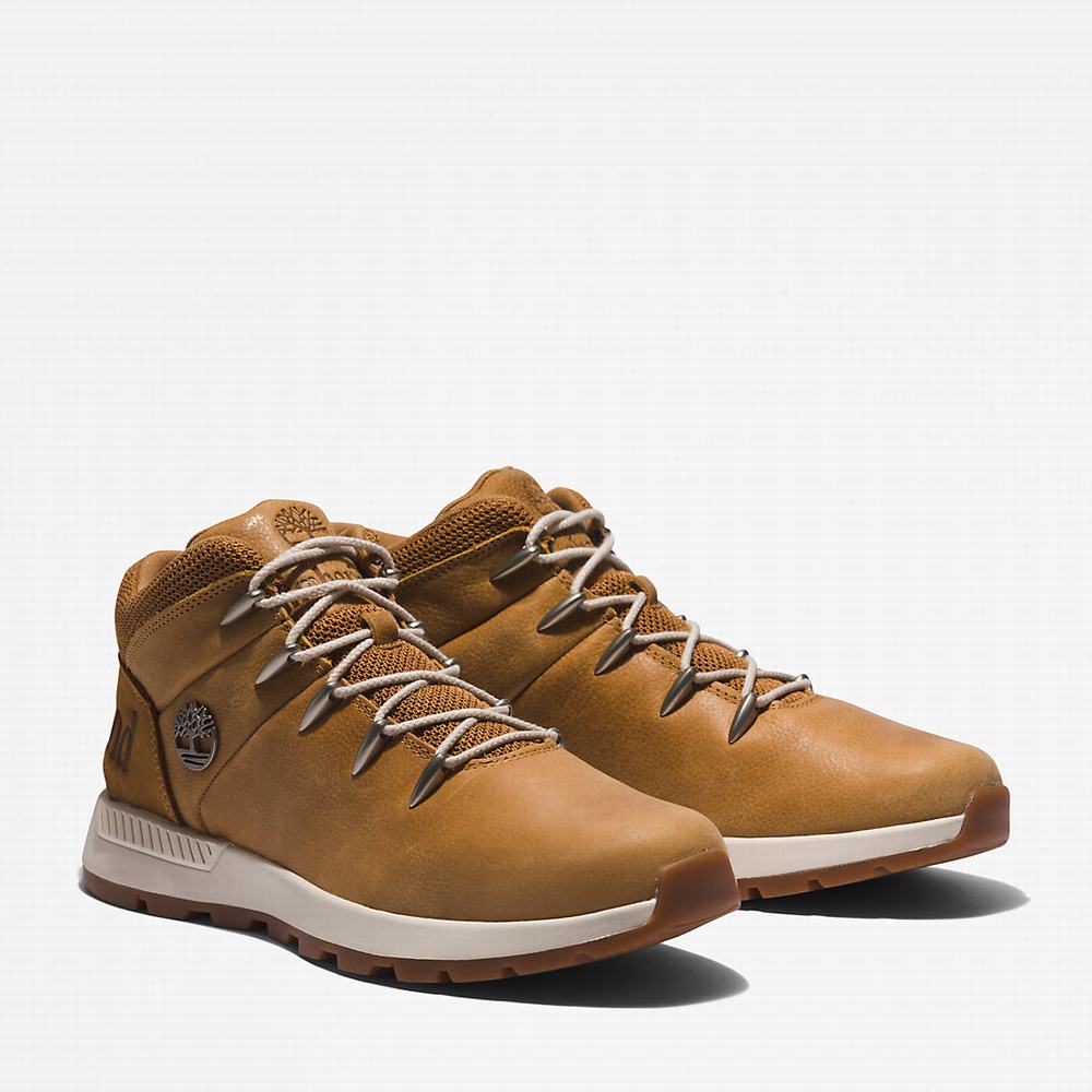 Timberland Sprint Trekker Mid Yürüyüş Botu Erkek Kahverengi | TR-2054C