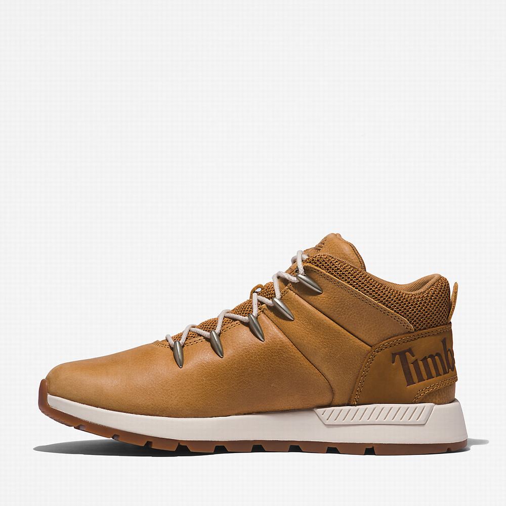 Timberland Sprint Trekker Mid Yürüyüş Botu Erkek Kahverengi | TR-2054C