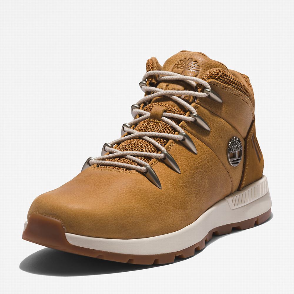 Timberland Sprint Trekker Mid Yürüyüş Botu Erkek Kahverengi | TR-2054C