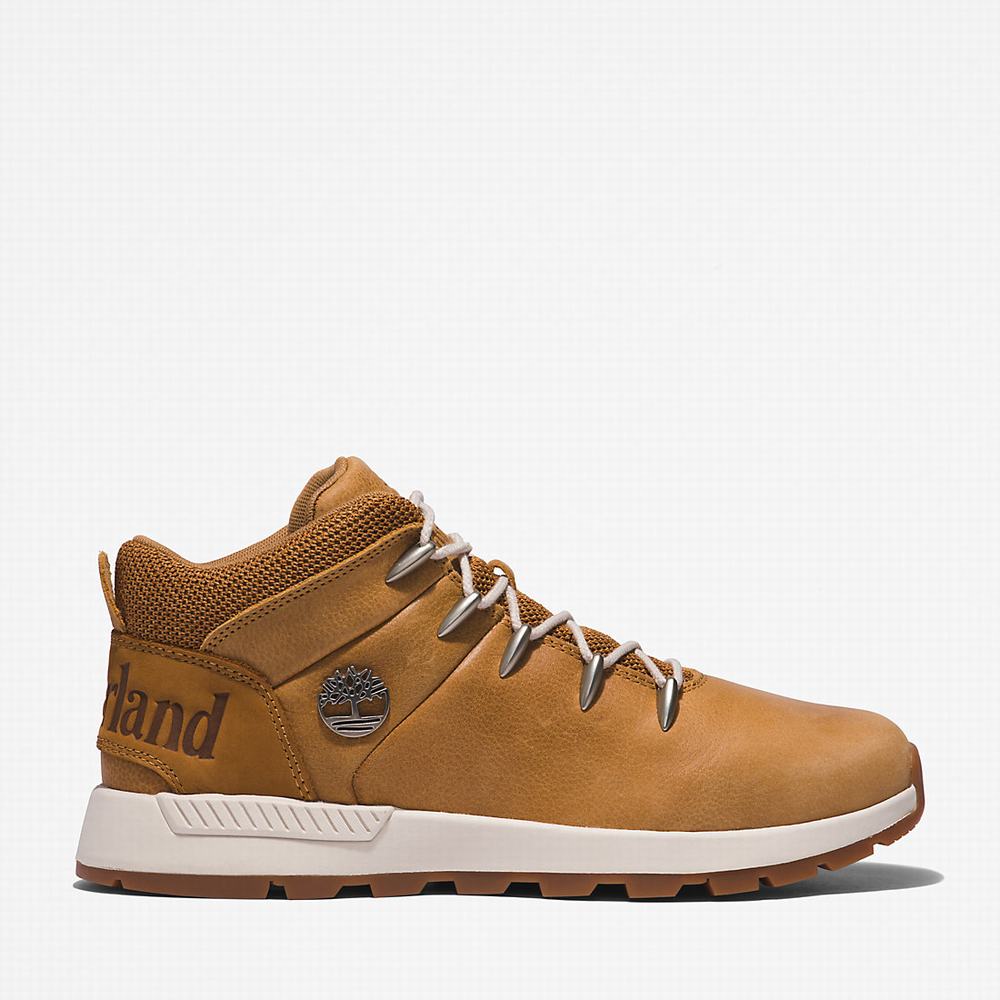 Timberland Sprint Trekker Mid Yürüyüş Botu Erkek Kahverengi | TR-2054C