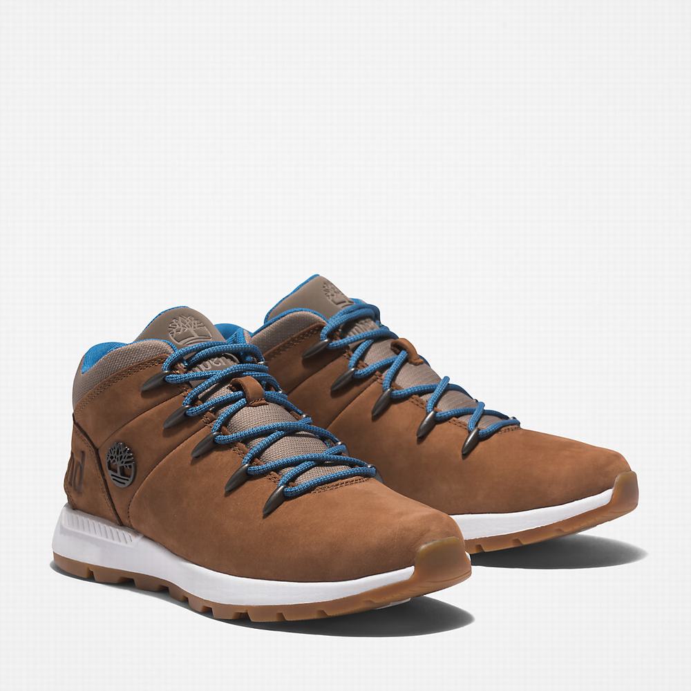 Timberland Sprint Trekker Mid Yürüyüş Botu Kadın Açık Kahverengi | TR-3897K