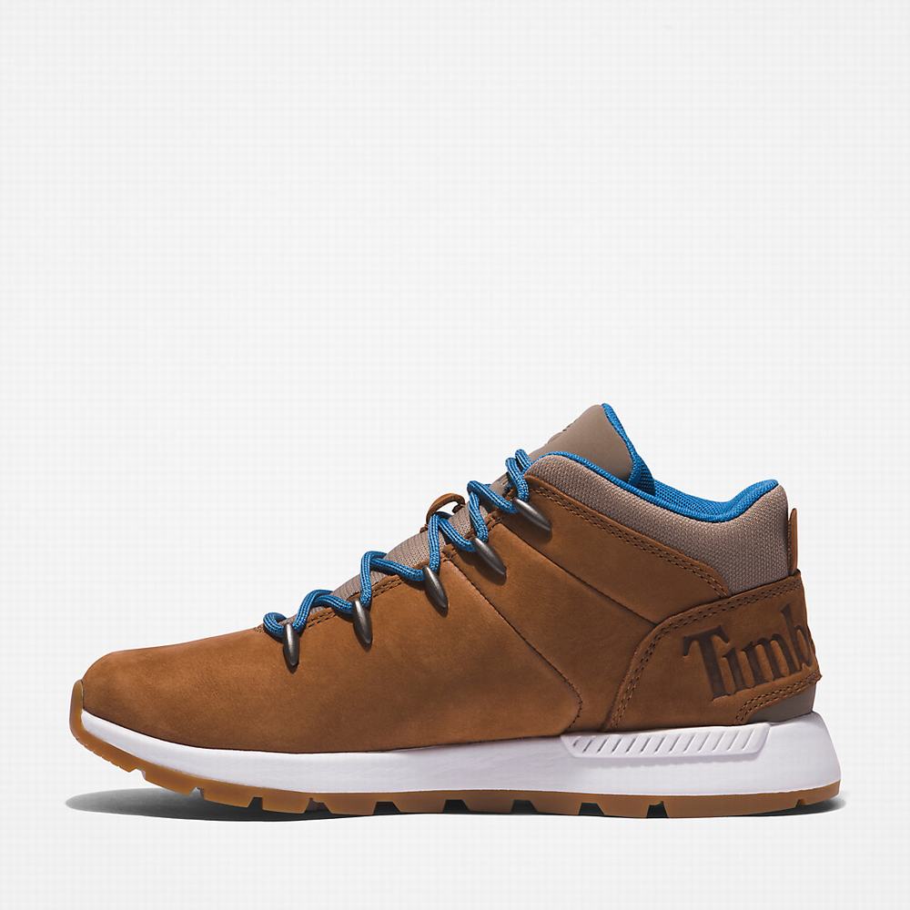 Timberland Sprint Trekker Mid Yürüyüş Botu Kadın Açık Kahverengi | TR-3897K