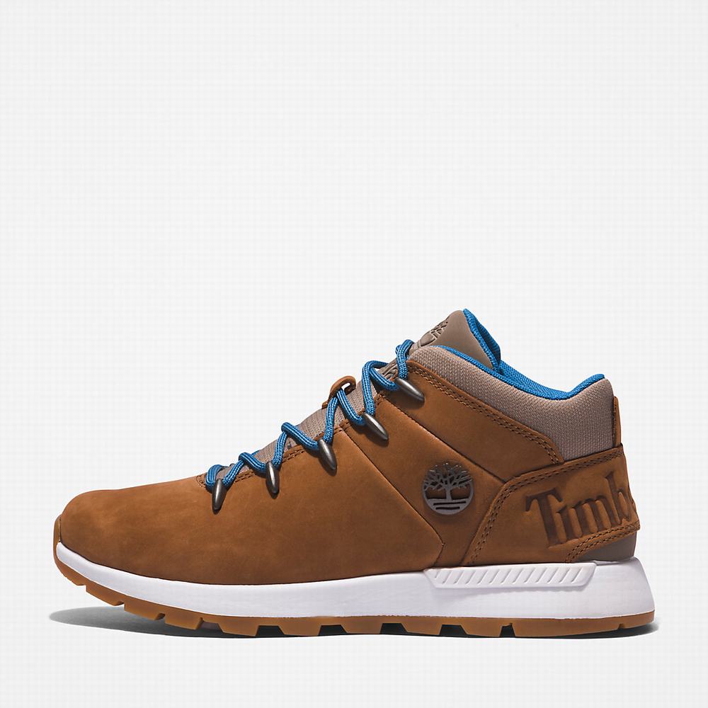 Timberland Sprint Trekker Mid Yürüyüş Botu Kadın Açık Kahverengi | TR-3897K