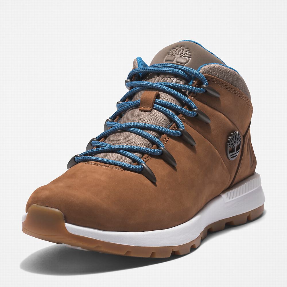 Timberland Sprint Trekker Mid Yürüyüş Botu Kadın Açık Kahverengi | TR-3897K