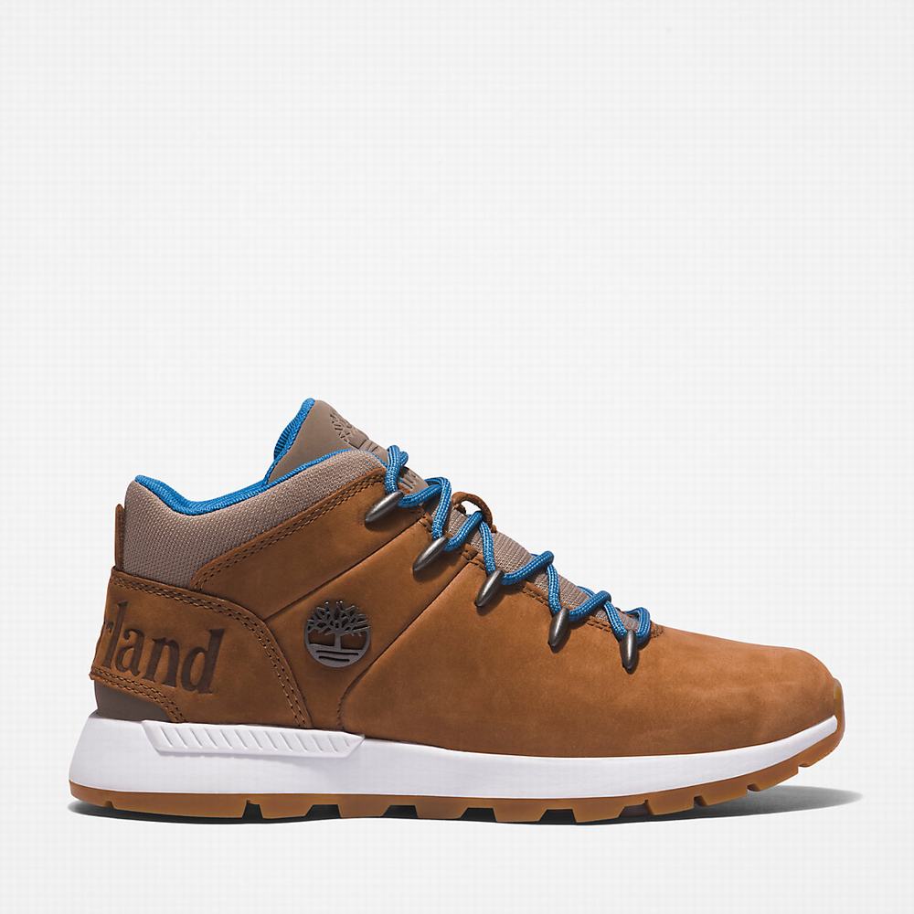 Timberland Sprint Trekker Mid Yürüyüş Botu Kadın Açık Kahverengi | TR-3897K