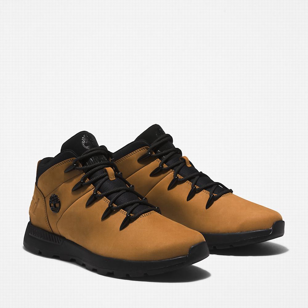 Timberland Sprint Trekker Mid Yürüyüş Botu Erkek Sarı Siyah | TR-4815T