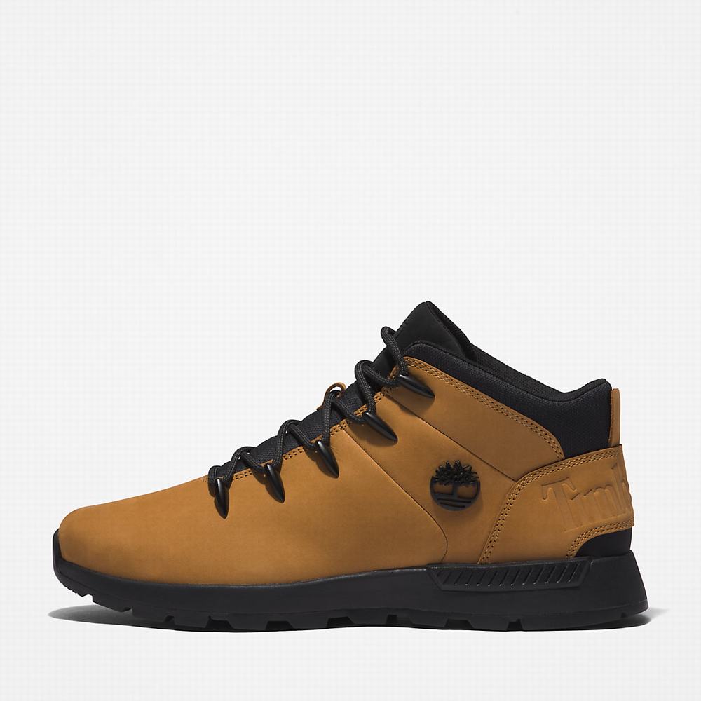 Timberland Sprint Trekker Mid Yürüyüş Botu Erkek Sarı Siyah | TR-4815T