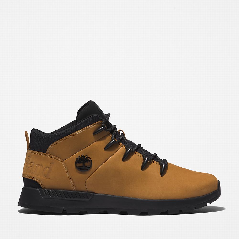 Timberland Sprint Trekker Mid Yürüyüş Botu Erkek Sarı Siyah | TR-4815T