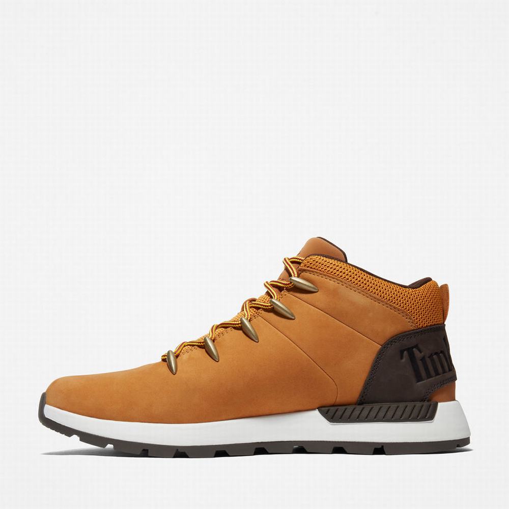 Timberland Sprint Trekker Mid Yürüyüş Botu Erkek Sarı | TR-4958R