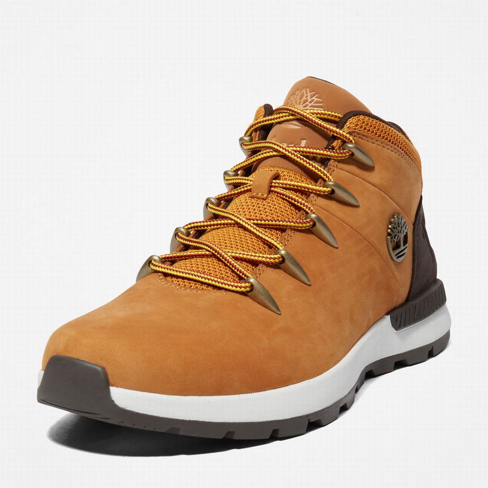 Timberland Sprint Trekker Mid Yürüyüş Botu Erkek Sarı | TR-4958R