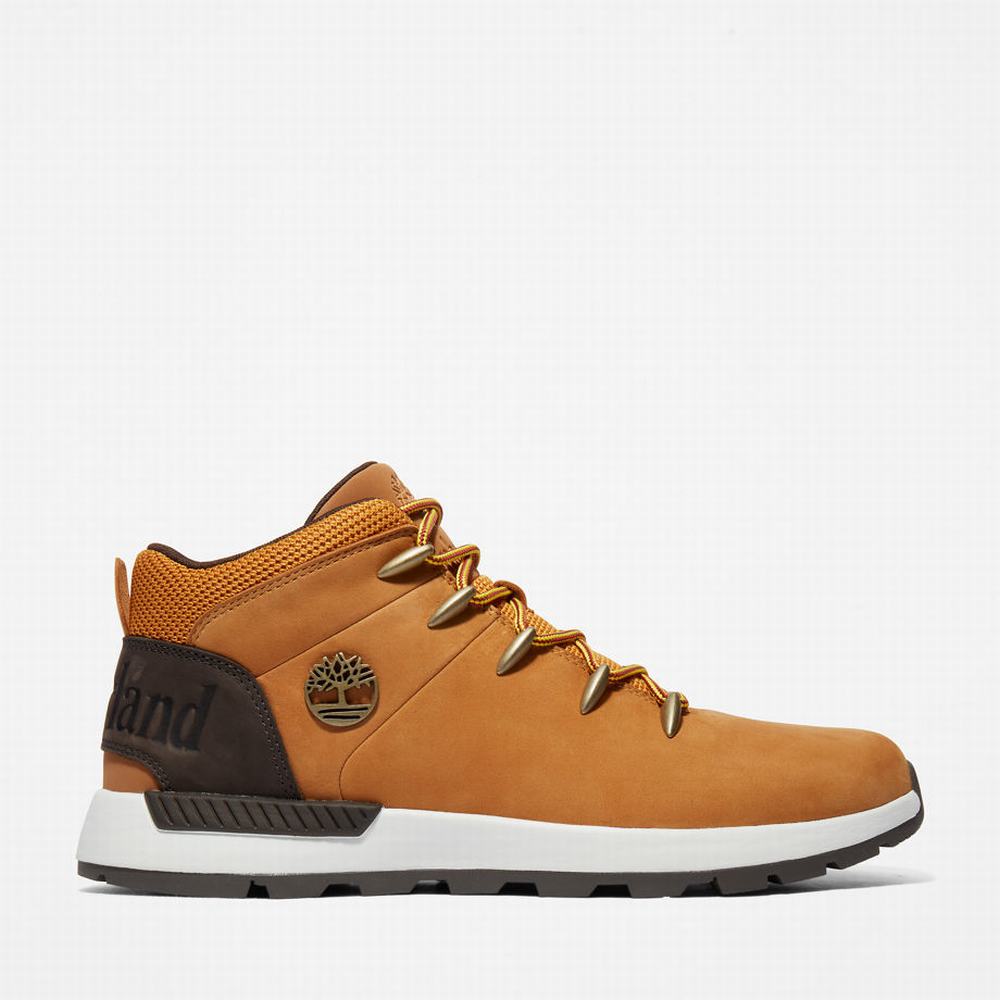 Timberland Sprint Trekker Mid Yürüyüş Botu Erkek Sarı | TR-4958R