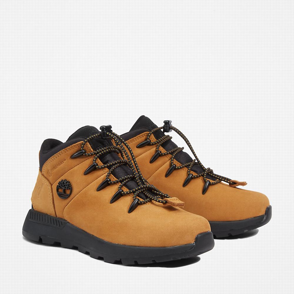 Timberland Sprint Trekker Mid Yürüyüş Botu Çocuk Sarı | TR-7014J