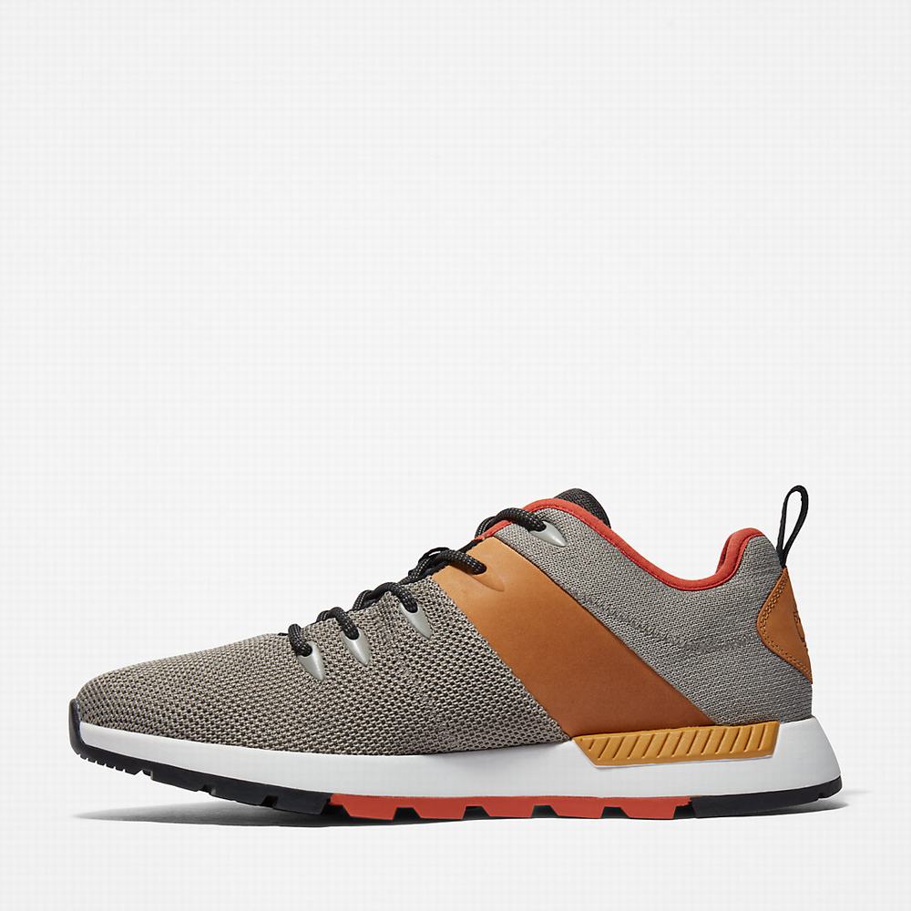 Timberland Sprint Trekker Spor Ayakkabı Erkek Gri | TR-6740X