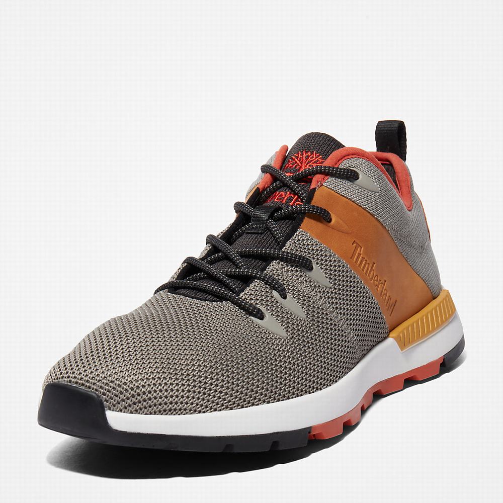 Timberland Sprint Trekker Spor Ayakkabı Erkek Gri | TR-6740X