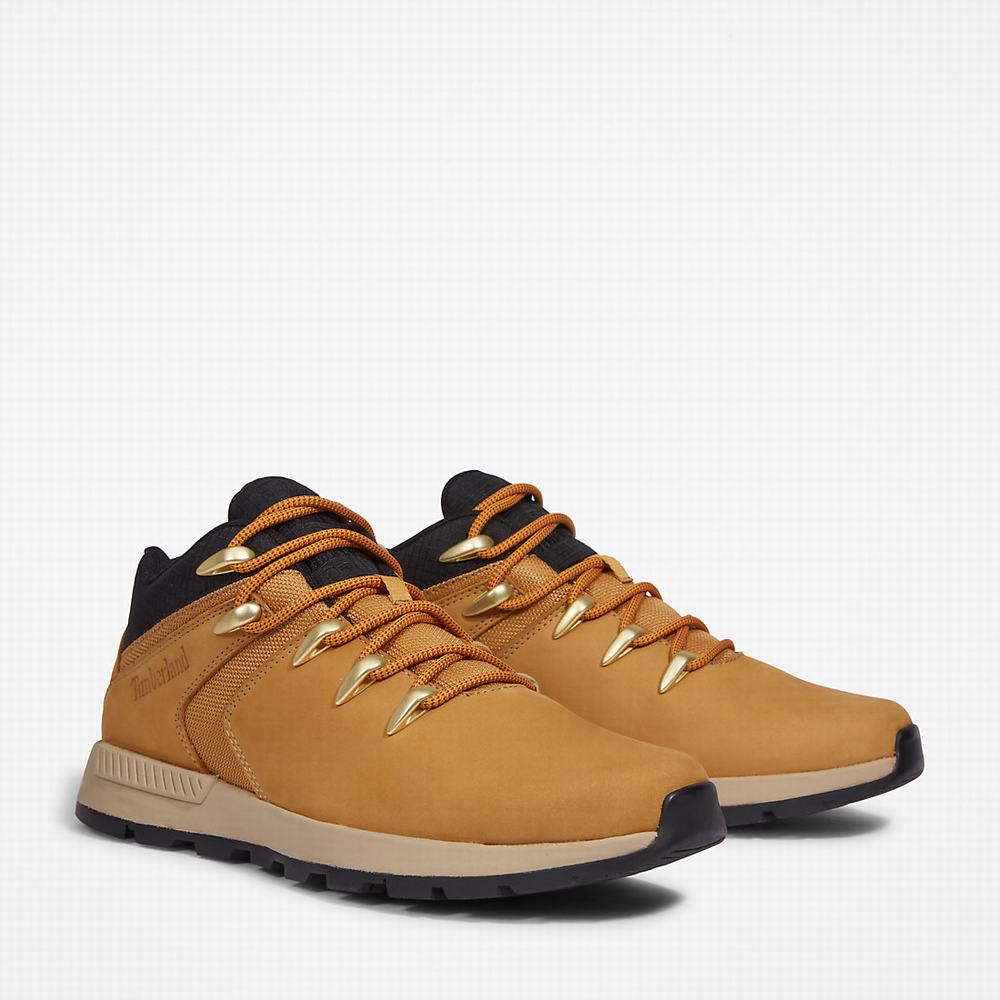 Timberland Sprint Trekker Super Oxford Spor Ayakkabı Erkek Açık Kahverengi | TR-2583A
