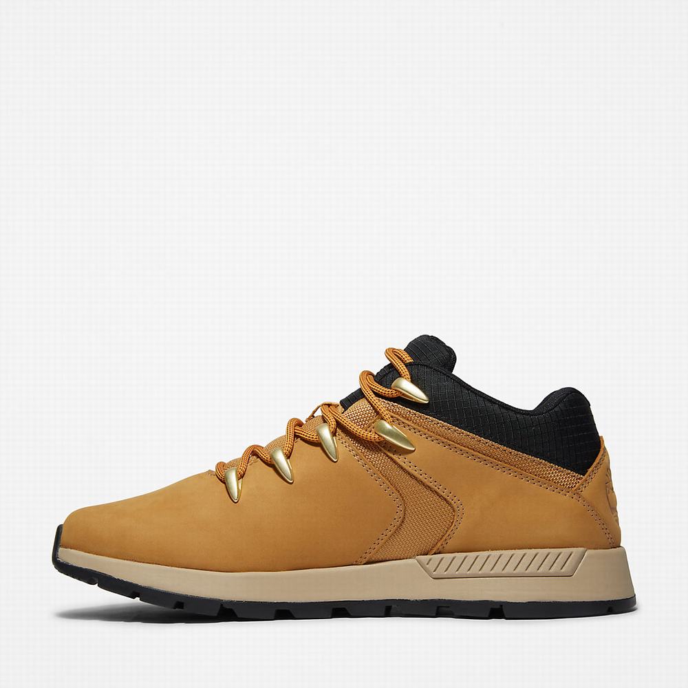 Timberland Sprint Trekker Super Oxford Spor Ayakkabı Erkek Açık Kahverengi | TR-2583A