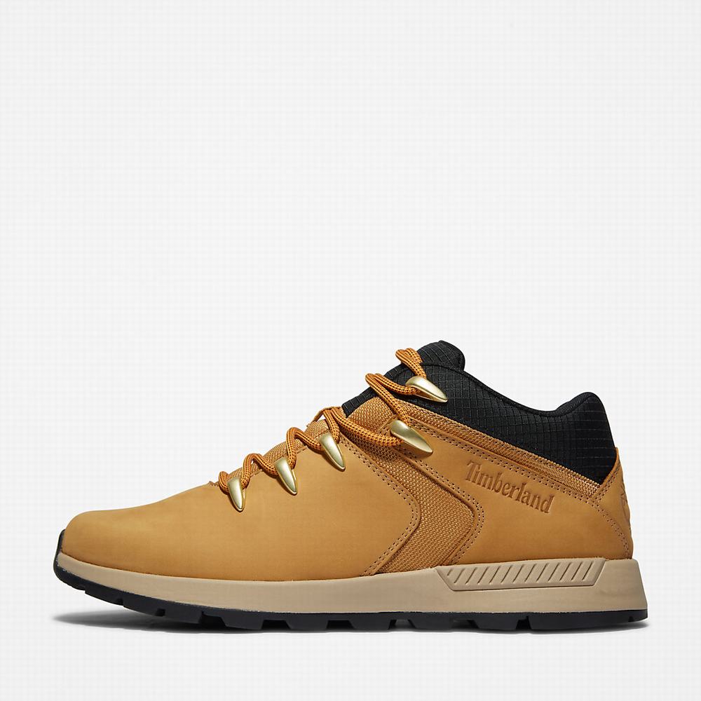 Timberland Sprint Trekker Super Oxford Spor Ayakkabı Erkek Açık Kahverengi | TR-2583A