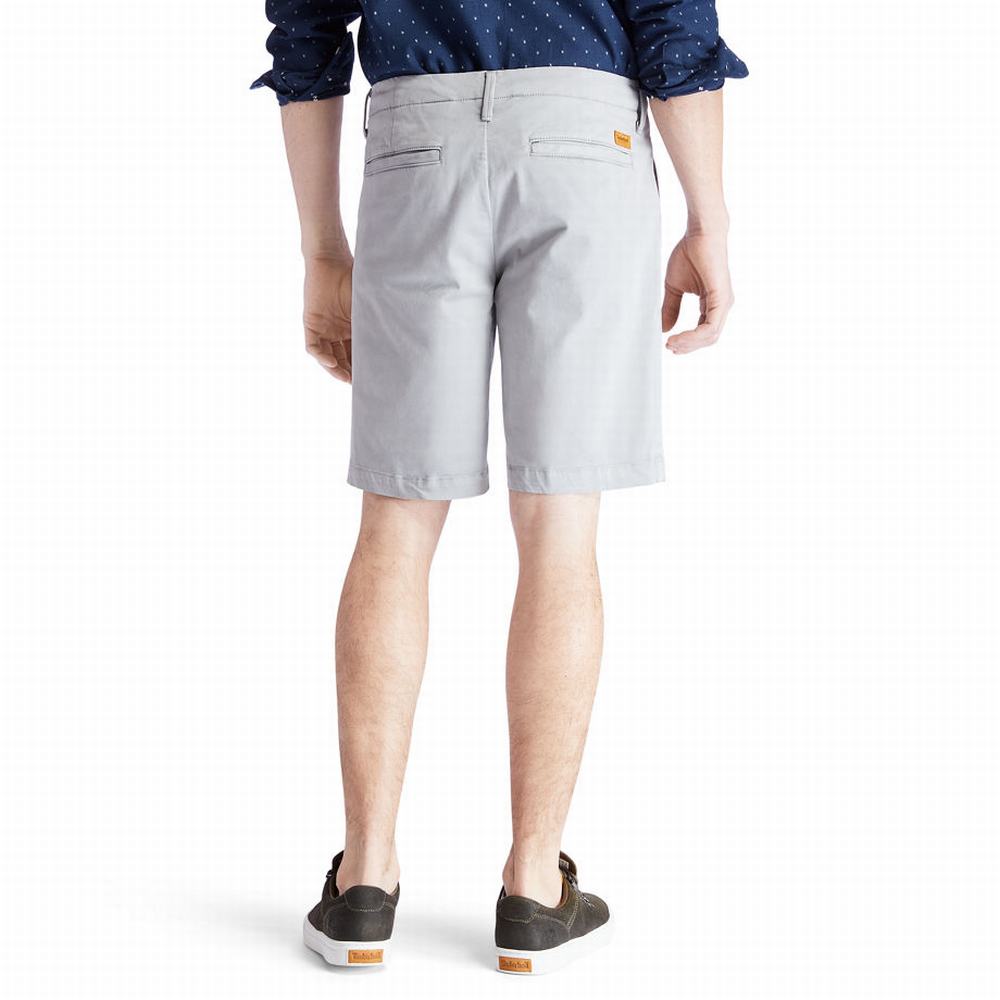 Timberland Squam Lake Chino Şort Erkek Gri | TR-2675R