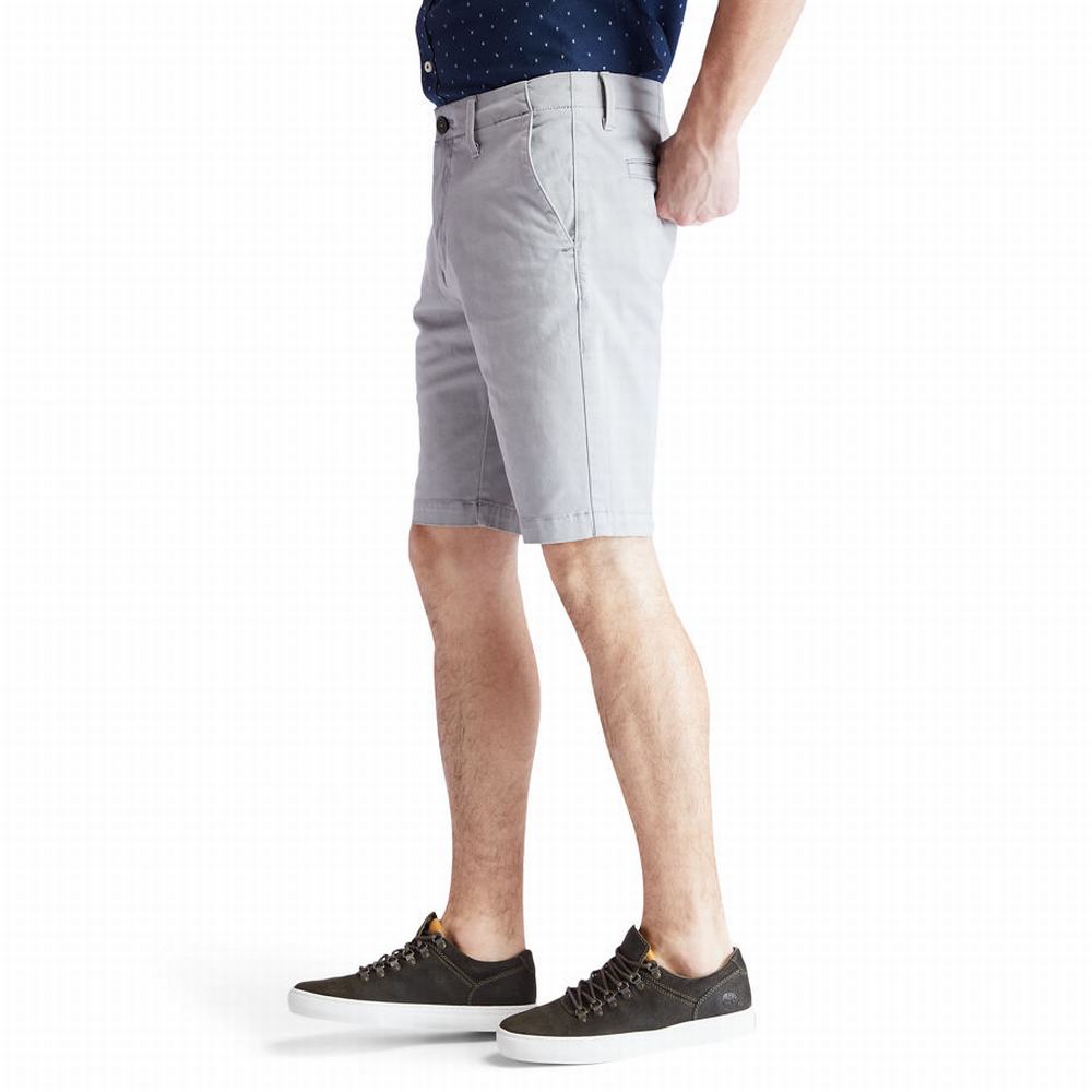 Timberland Squam Lake Chino Şort Erkek Gri | TR-2675R