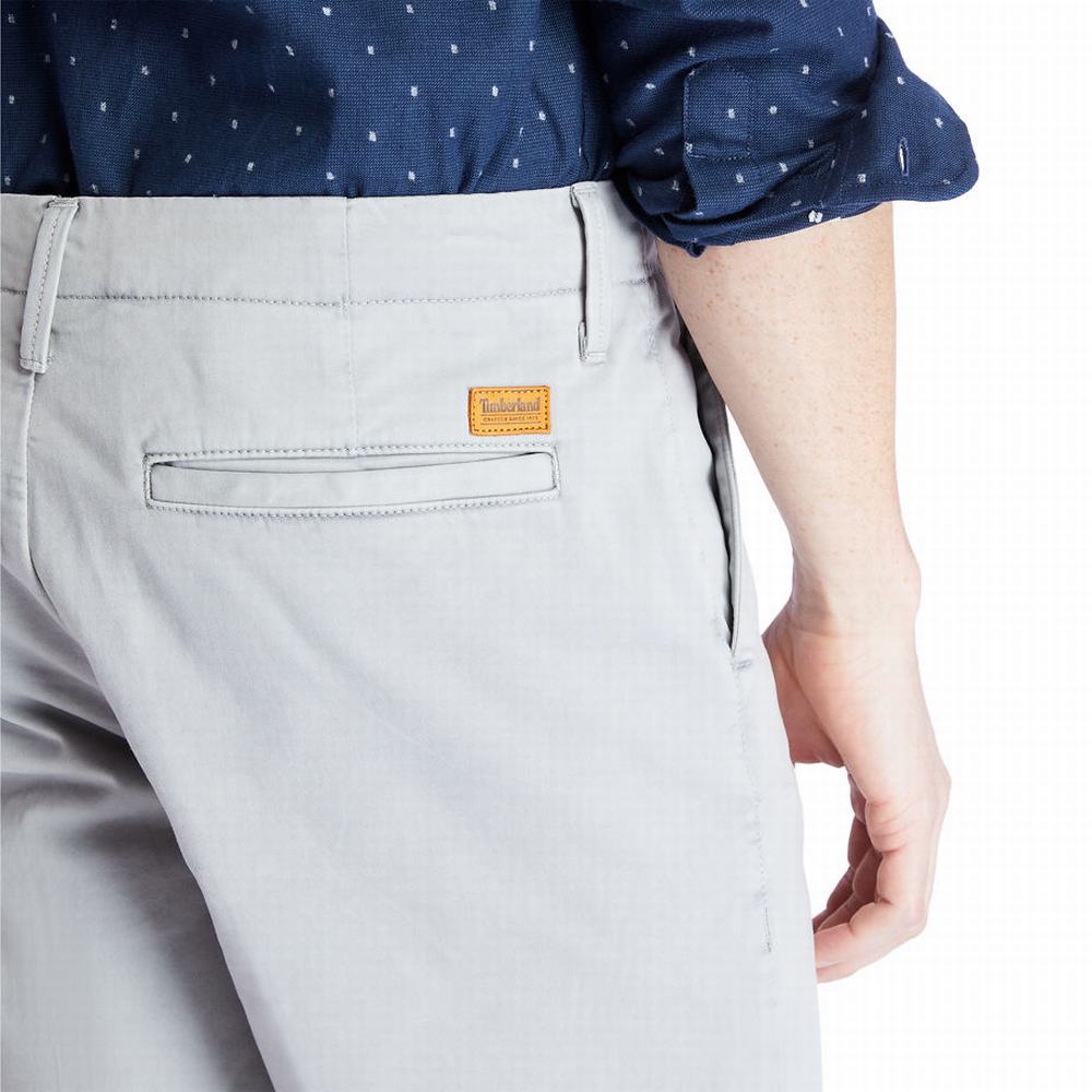 Timberland Squam Lake Chino Şort Erkek Gri | TR-2675R
