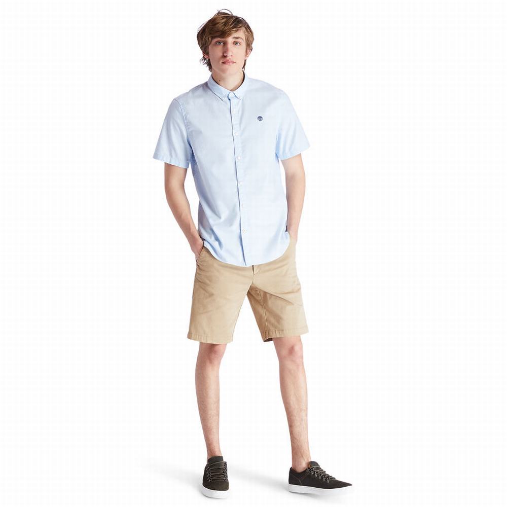 Timberland Squam Lake Chino Şort Erkek Haki | TR-0169W