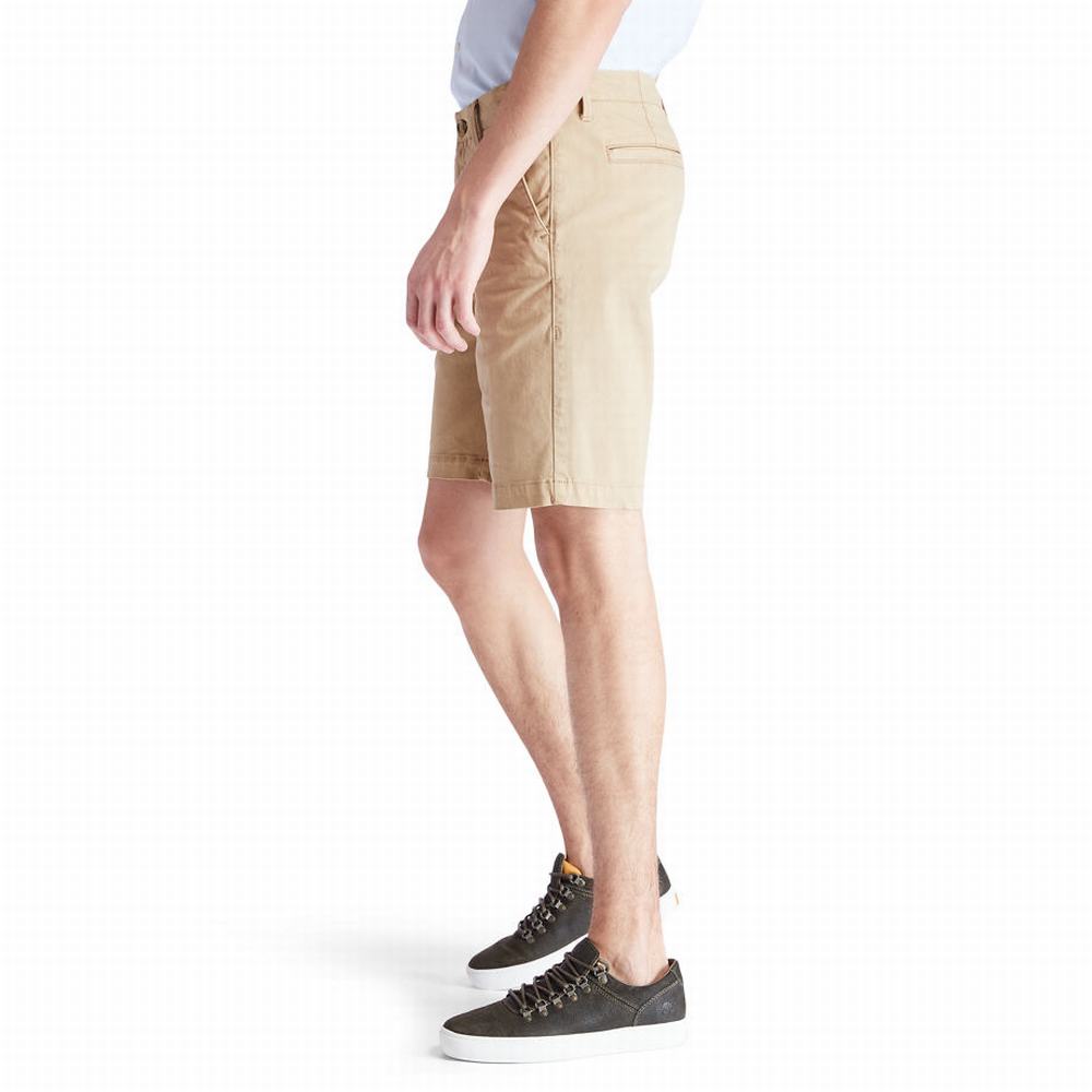 Timberland Squam Lake Chino Şort Erkek Haki | TR-0169W
