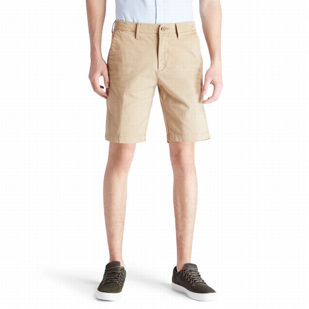 Timberland Squam Lake Chino Şort Erkek Haki | TR-0169W