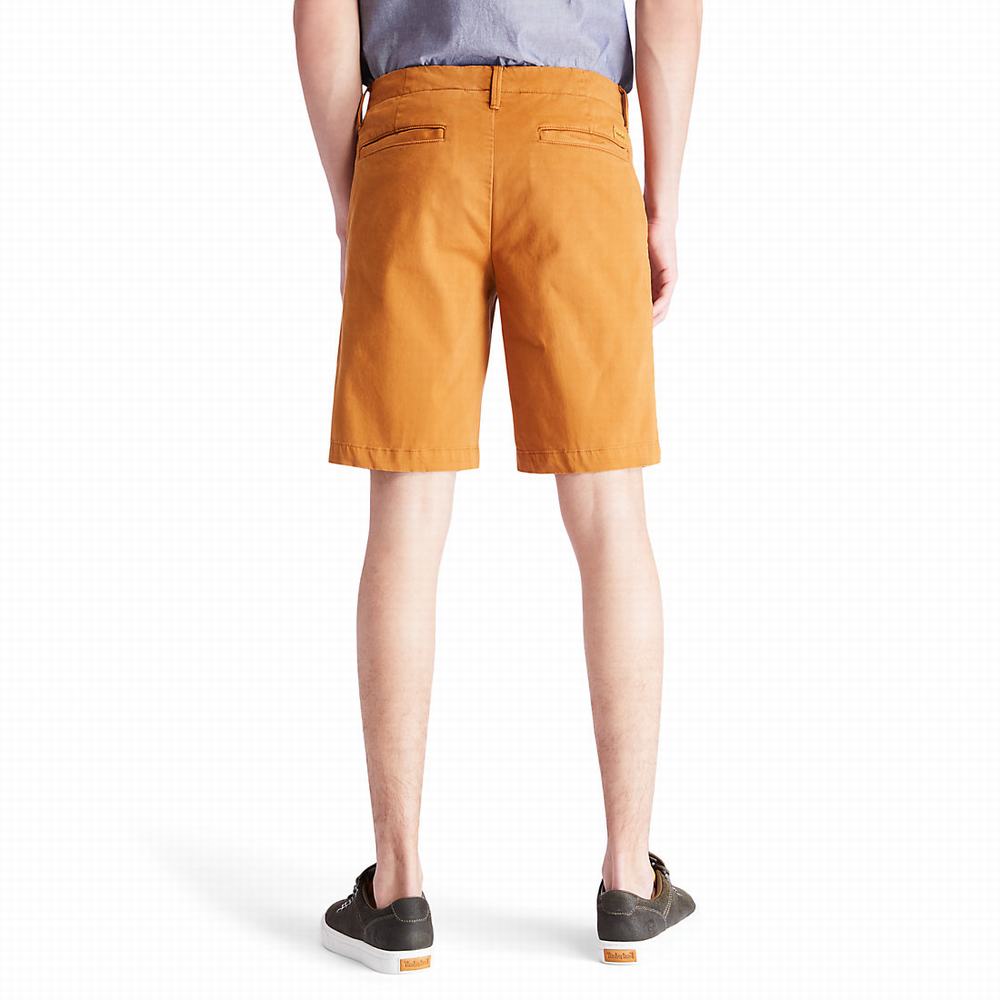 Timberland Squam Lake Chino Şort Erkek Sarı | TR-9475Y