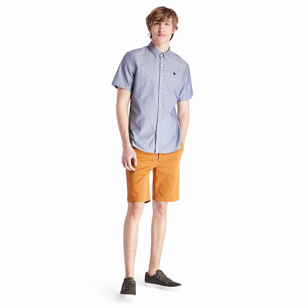 Timberland Squam Lake Chino Şort Erkek Sarı | TR-9475Y