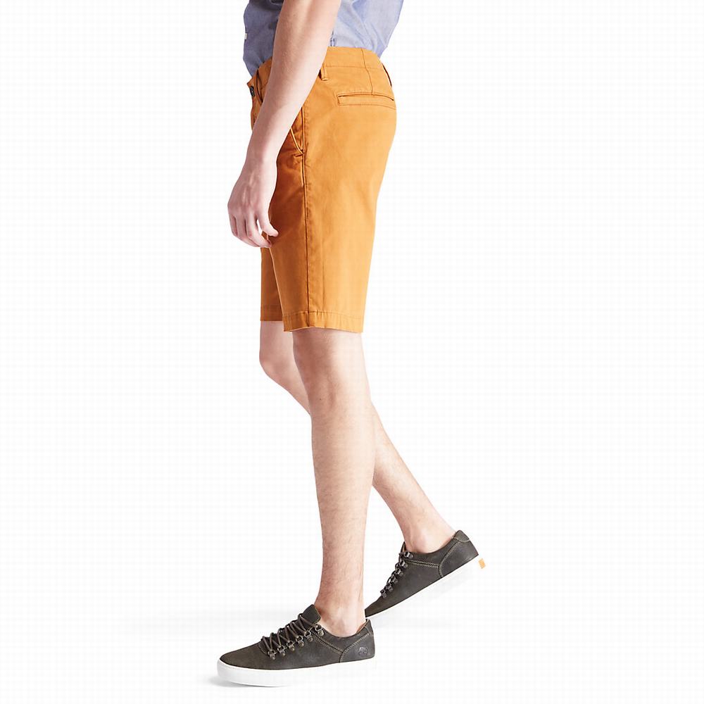 Timberland Squam Lake Chino Şort Erkek Sarı | TR-9475Y