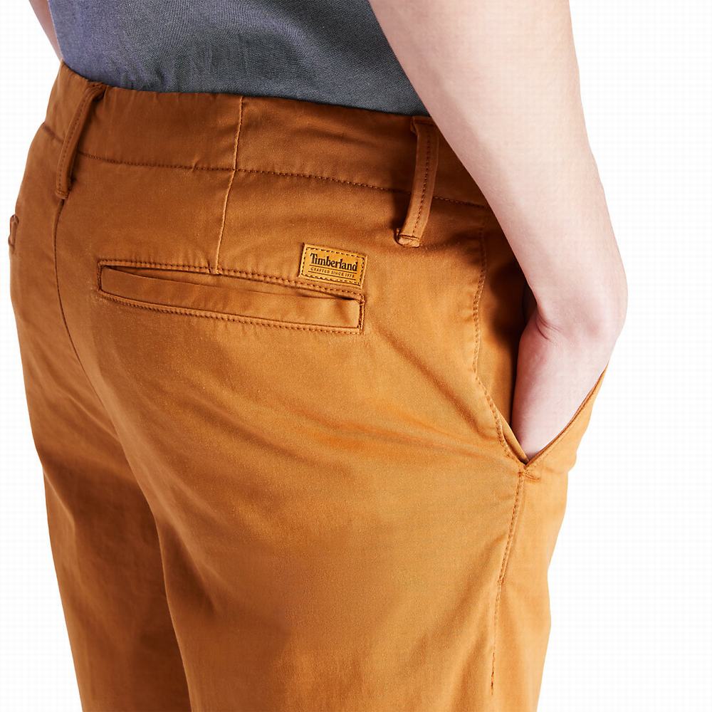 Timberland Squam Lake Chino Şort Erkek Sarı | TR-9475Y