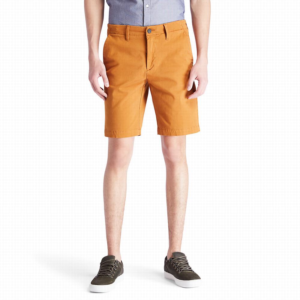 Timberland Squam Lake Chino Şort Erkek Sarı | TR-9475Y