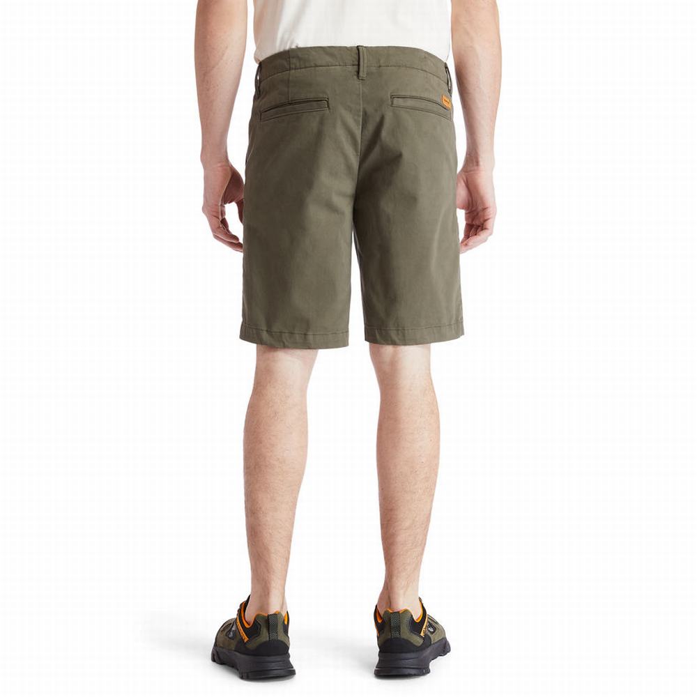 Timberland Squam Lake Chino Şort Erkek Yeşil | TR-2945T