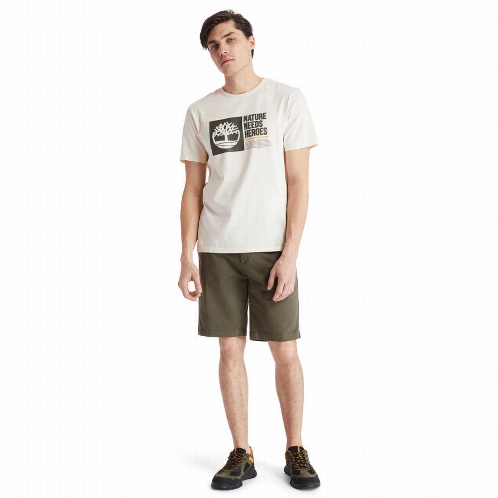 Timberland Squam Lake Chino Şort Erkek Yeşil | TR-2945T