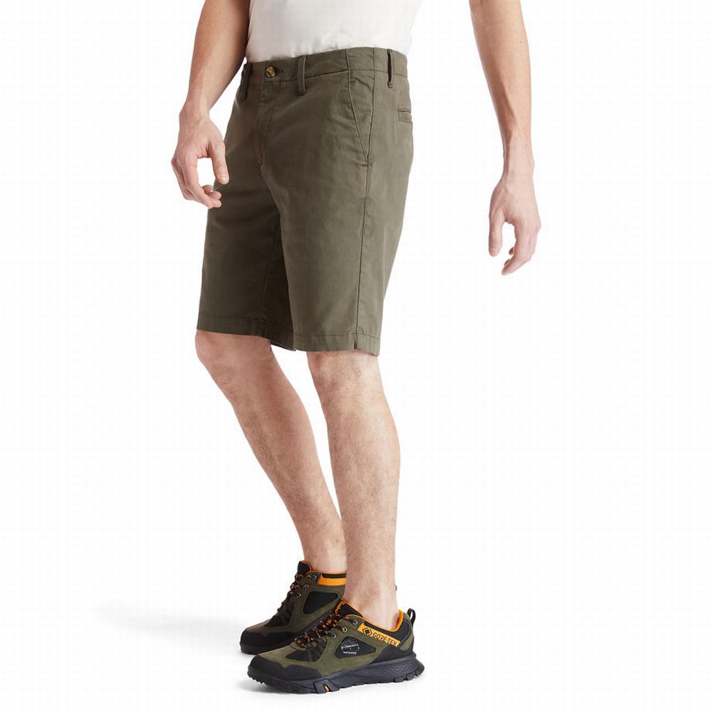 Timberland Squam Lake Chino Şort Erkek Yeşil | TR-2945T
